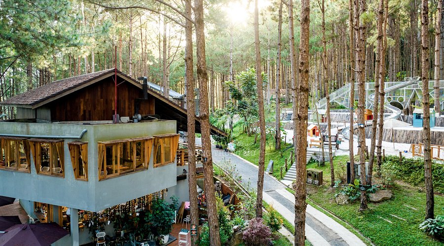 Rừng Thông Mơ Bistro